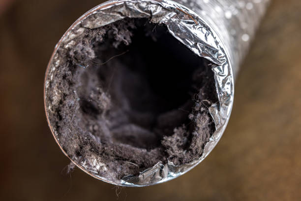 Best Affordable HVAC Duct Cleaning  in Noroton Heights, CT